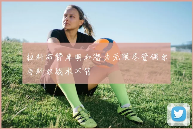 拉科布赞库明加潜力无限尽管偶尔与科尔战术不符