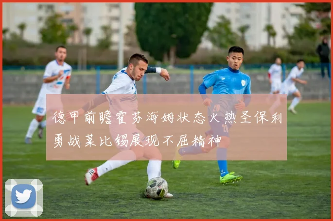德甲前瞻霍芬海姆状态火热圣保利勇战莱比锡展现不屈精神