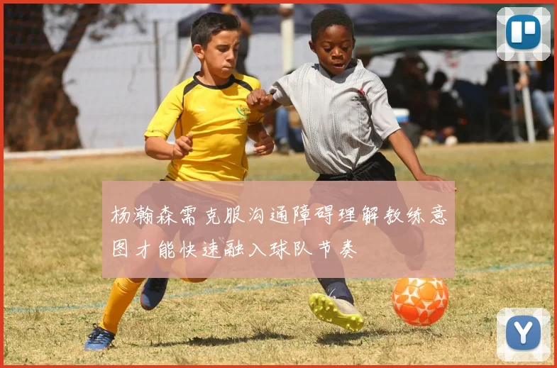 杨瀚森需克服沟通障碍理解教练意图才能快速融入球队节奏