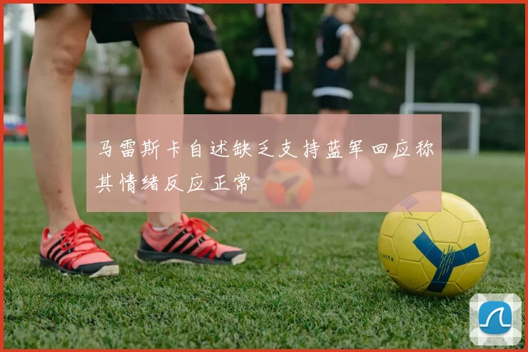 马雷斯卡自述缺乏支持蓝军回应称其情绪反应正常
