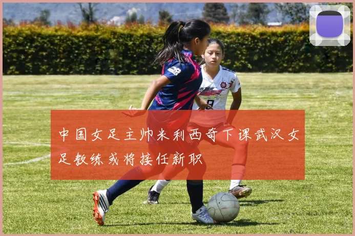 中国女足主帅米利西奇下课武汉女足教练或将接任新职