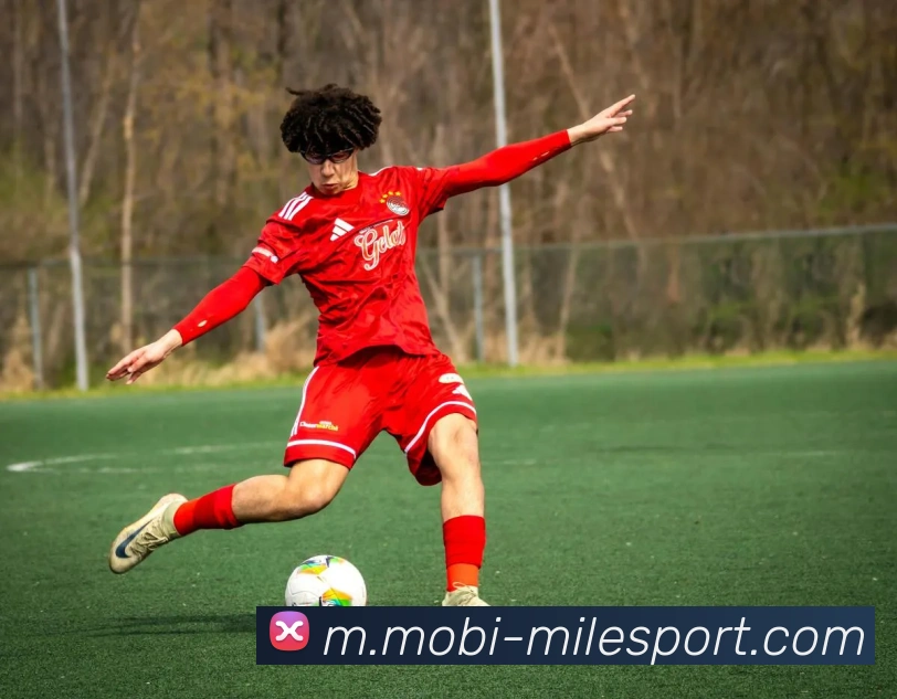 米乐体育APP 高清赛事图